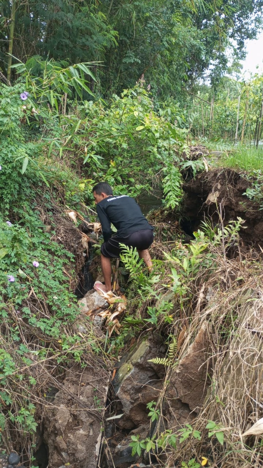 Tinjauan Pemerintah Desa Terkait Saluran Seklopo Desa Salamsari yang Longsor