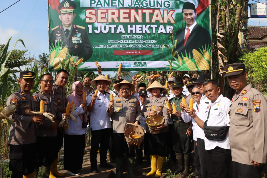 Dukung Ketahanan Pangan Nasional, Kapolres Temanggung Panen Jagung