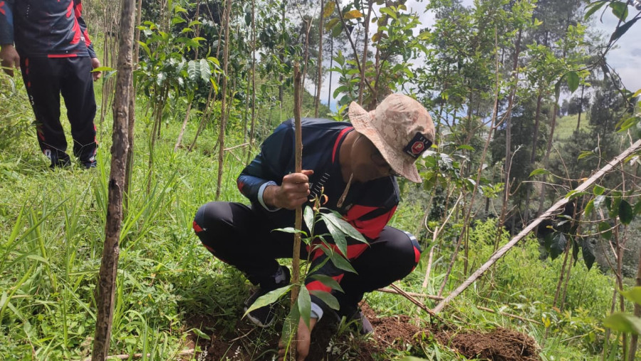 Siapkan Jalur Pendakian Baru Gunung Prau, Warga Campurejo Tanam 500 Pohon di Lereng Tretep