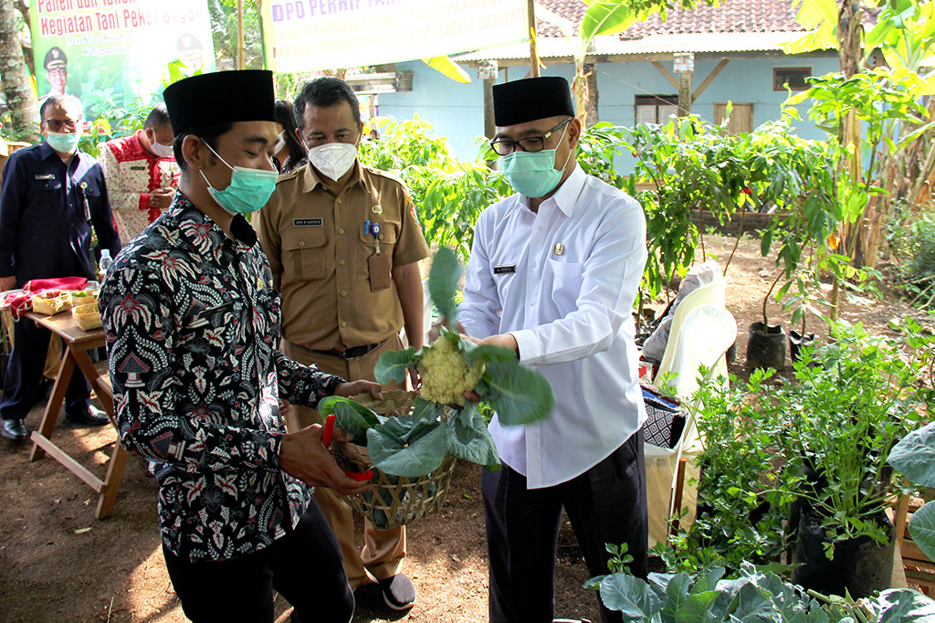 Dengan Tani Pekarangan, Masyarakat Desa Bisa Berdaya Kembali