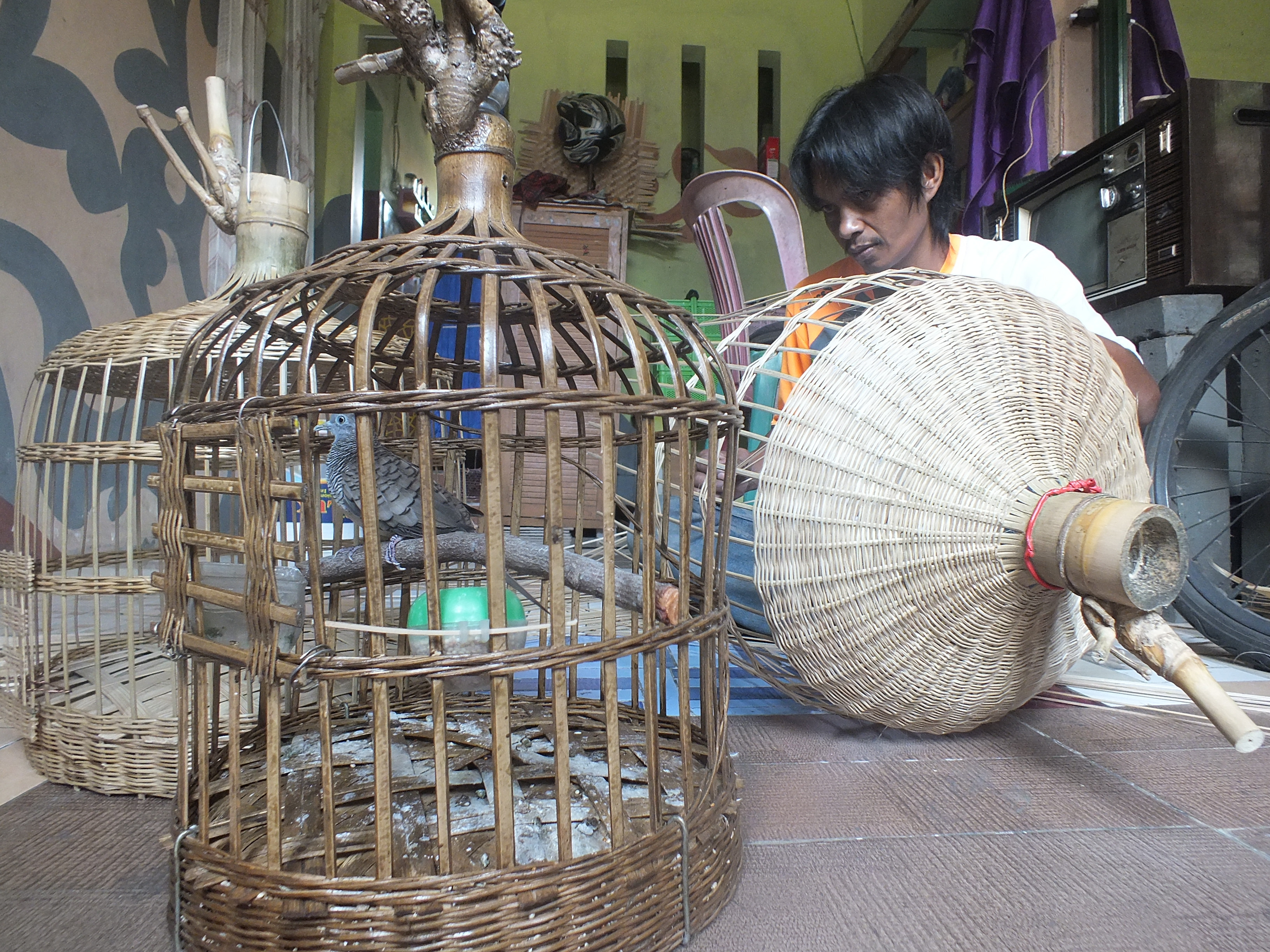 Manfaatkan Ruas bambu untuk kerajinan sangkar burung