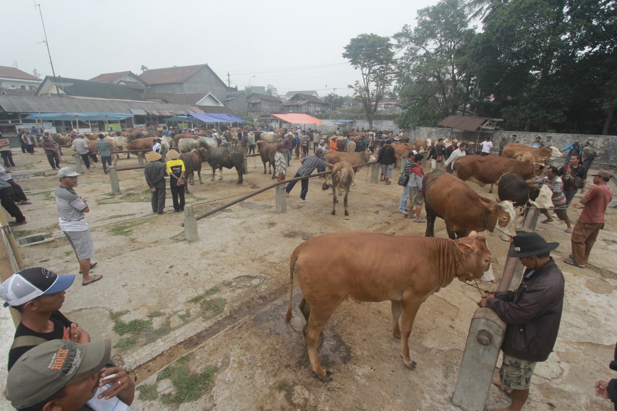 Harga Hewan Kurban di Temanggung Alami Kenaikan