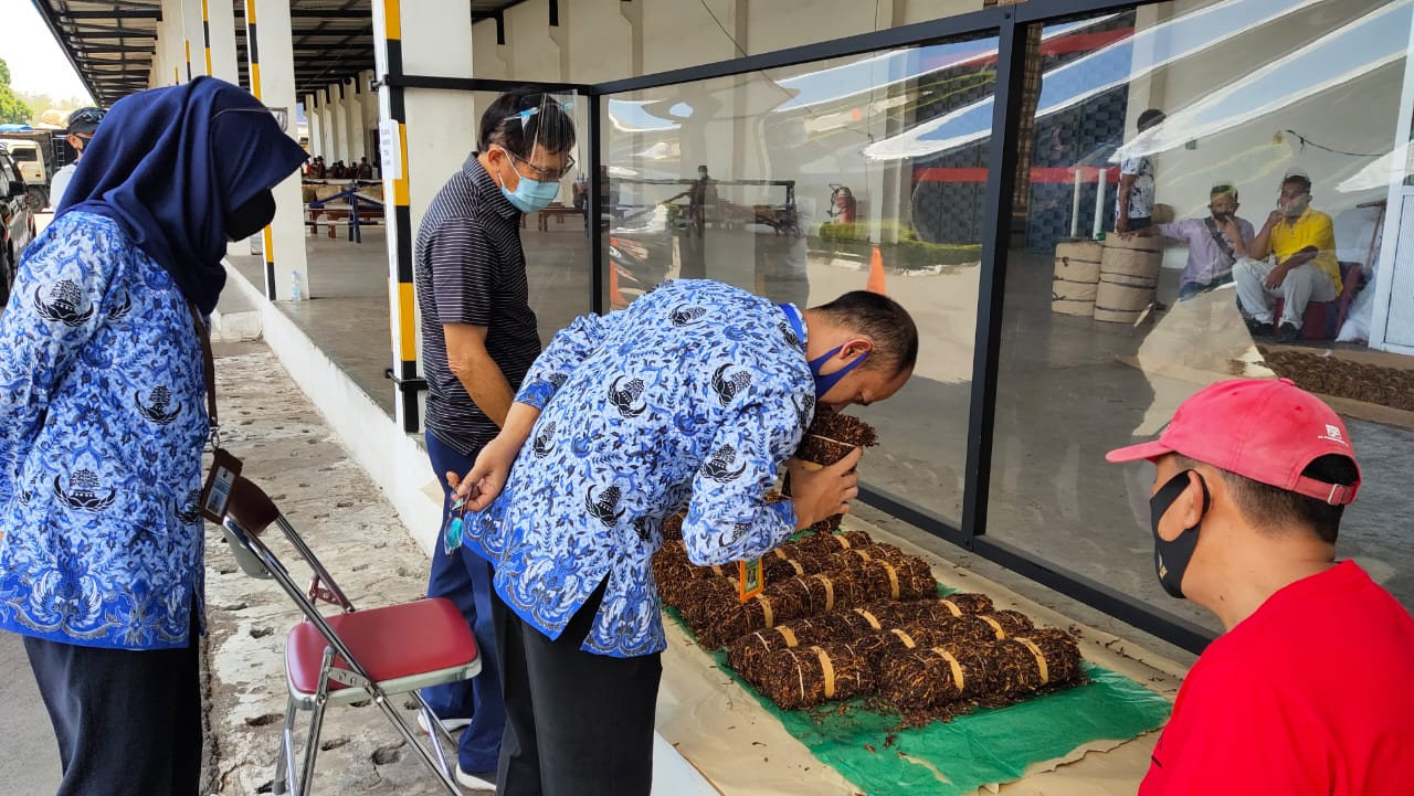 Pabrik Rokok Tingkatkan Pembelian Tembakau Temanggung