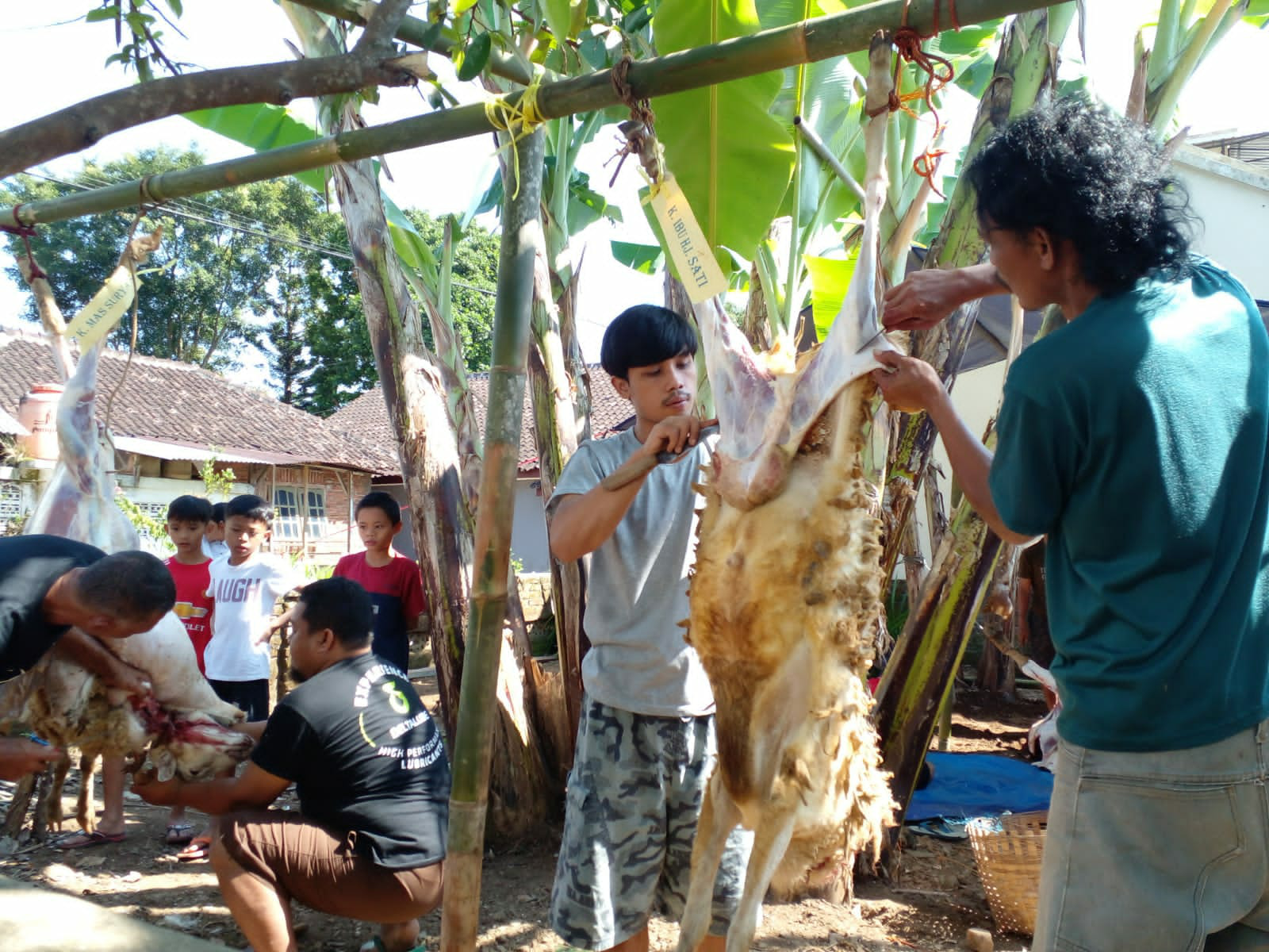 Tradisi Kebersamaan dalam Berkurban