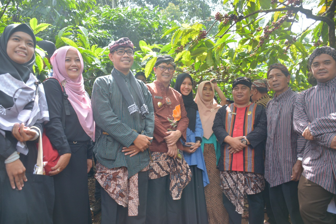 Pemkab Adakan Festival Petik Merah dan Slametan Panen Kopi