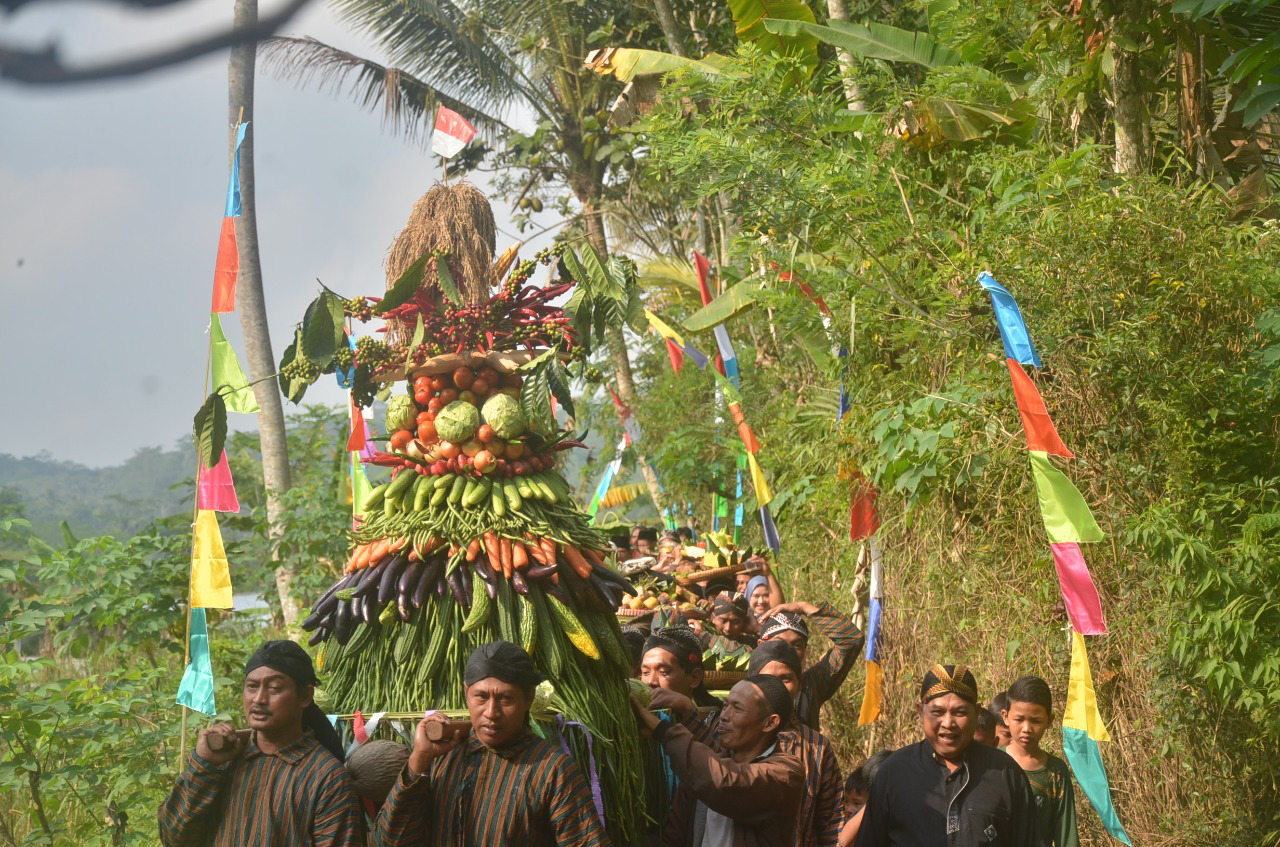 Ribuan Petani Kopi dan Padi Gelar Tradisi Ritual Sadranan Seribu Ketupat  