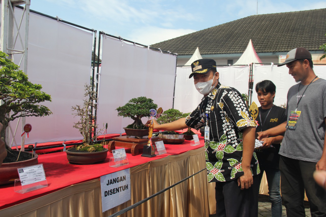 Paseduluran Bonsai Tembarak Gelar Pameran dan Kontes Bonsai