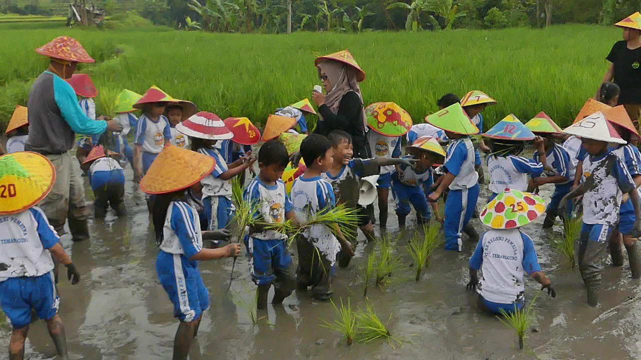 Siswa-siswi TK Negeri Pembina Belajar di Agro Eduwisata Putat