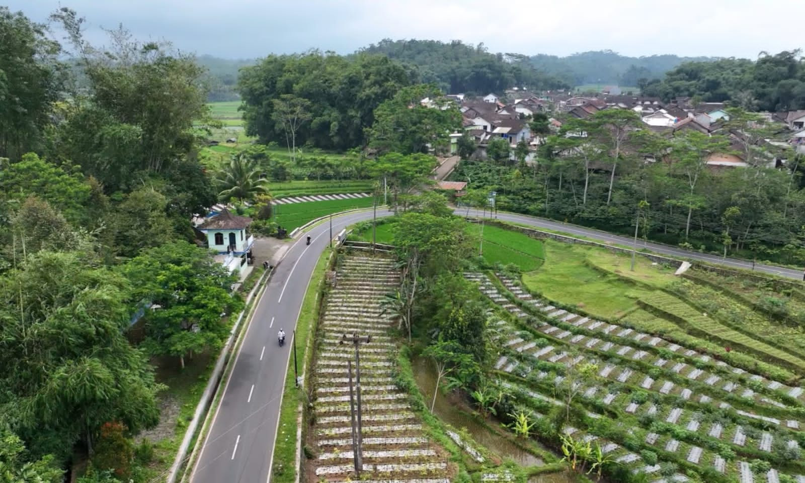 Peningkatan Jalan Alternatif Ngadirejo-Kedu Dongkrak Ekonomi Warga