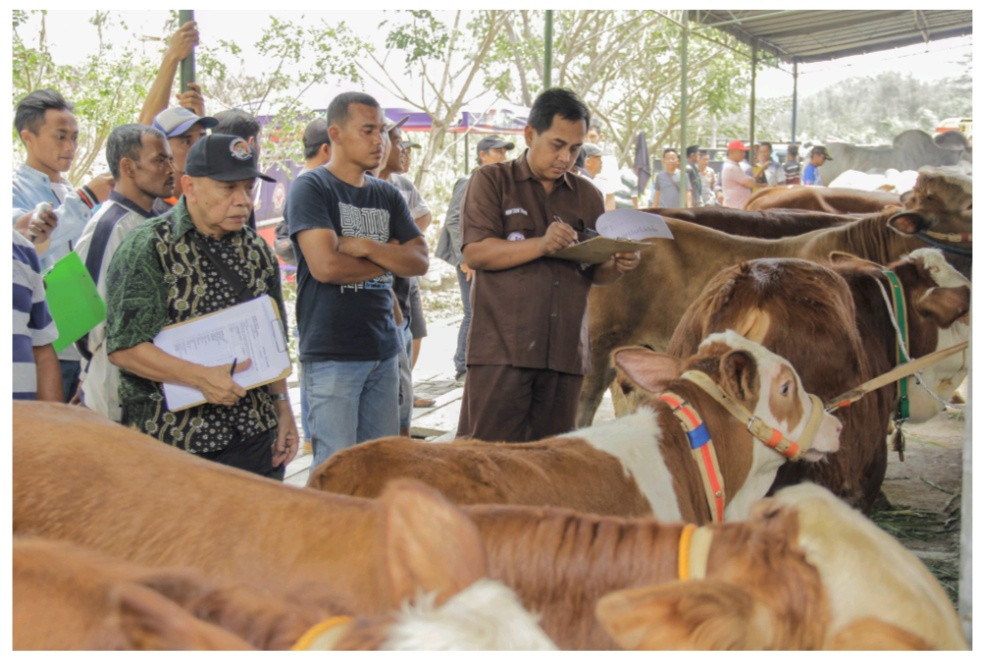 Tingkatkan Kualitas dan Kuantitas Ternak, Temanggung Gelar Kontes Hewan Ternak