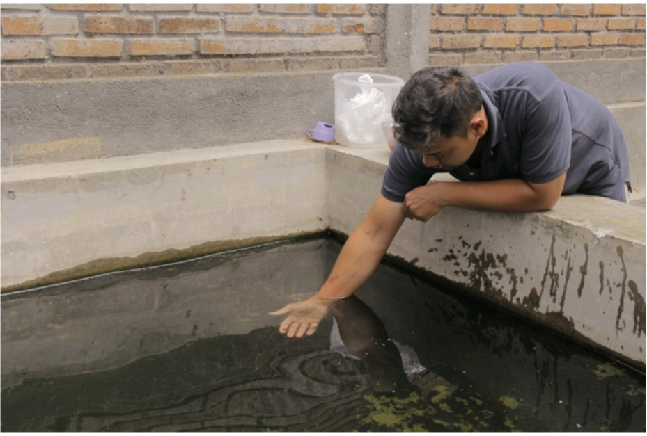 Ikan Endemic Yang Jarang Dijumpai Di Pasar Perikanan Indonesia