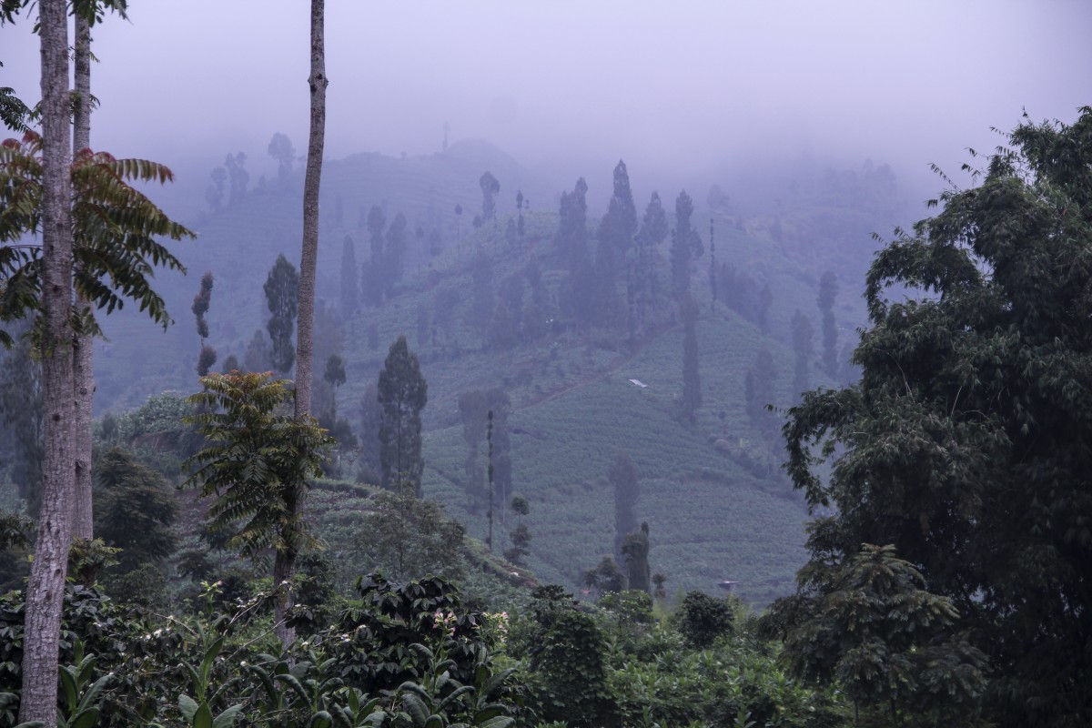 Intensitas Hujan Tinggi BPBD Himbau Masyarakat Temanggung Waspada 