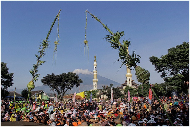 Lautan Ingkung Semarakan Selametan Wiwit Mbako Merti Bumi Phala