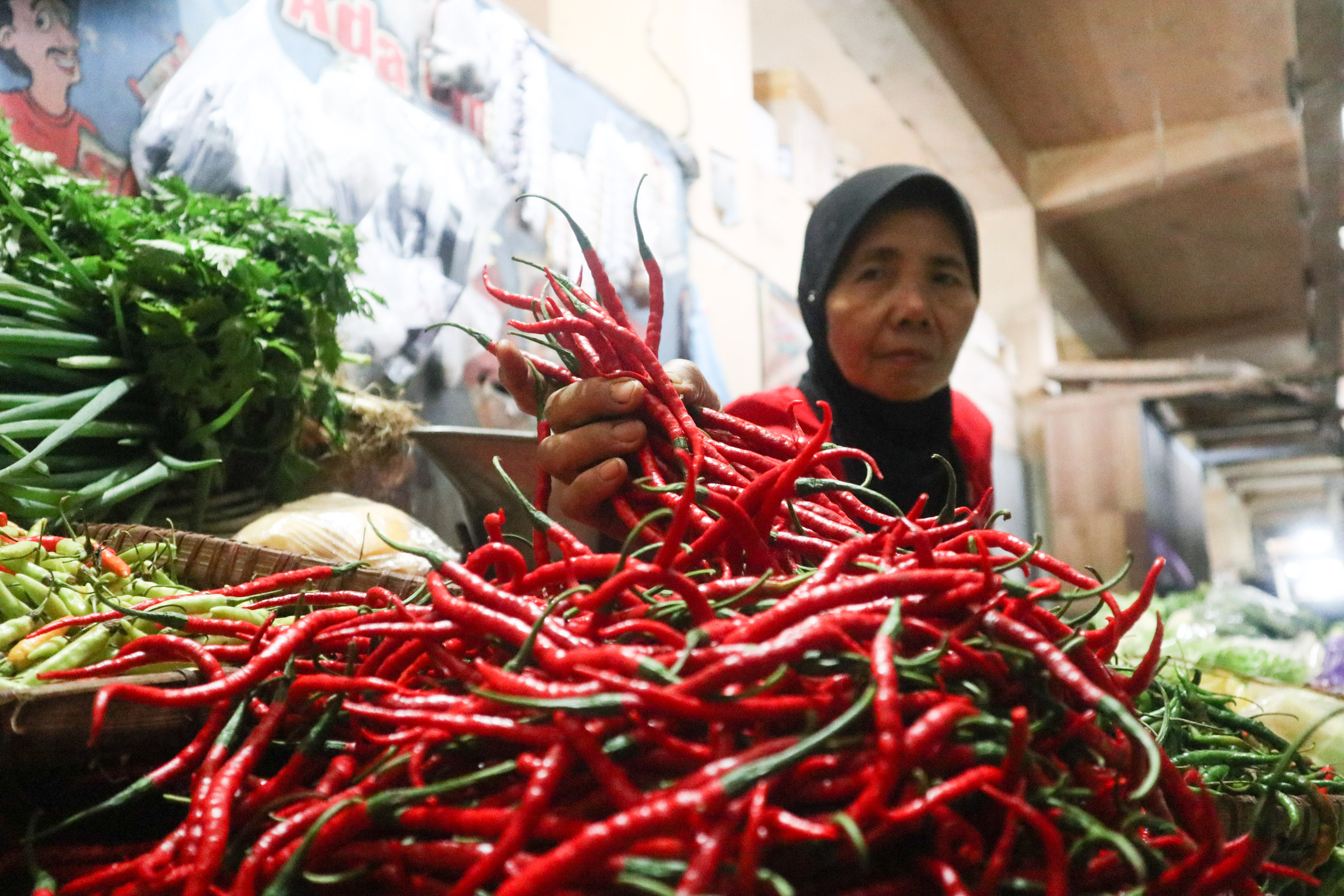 Harga cabai melambung dalam sepekan