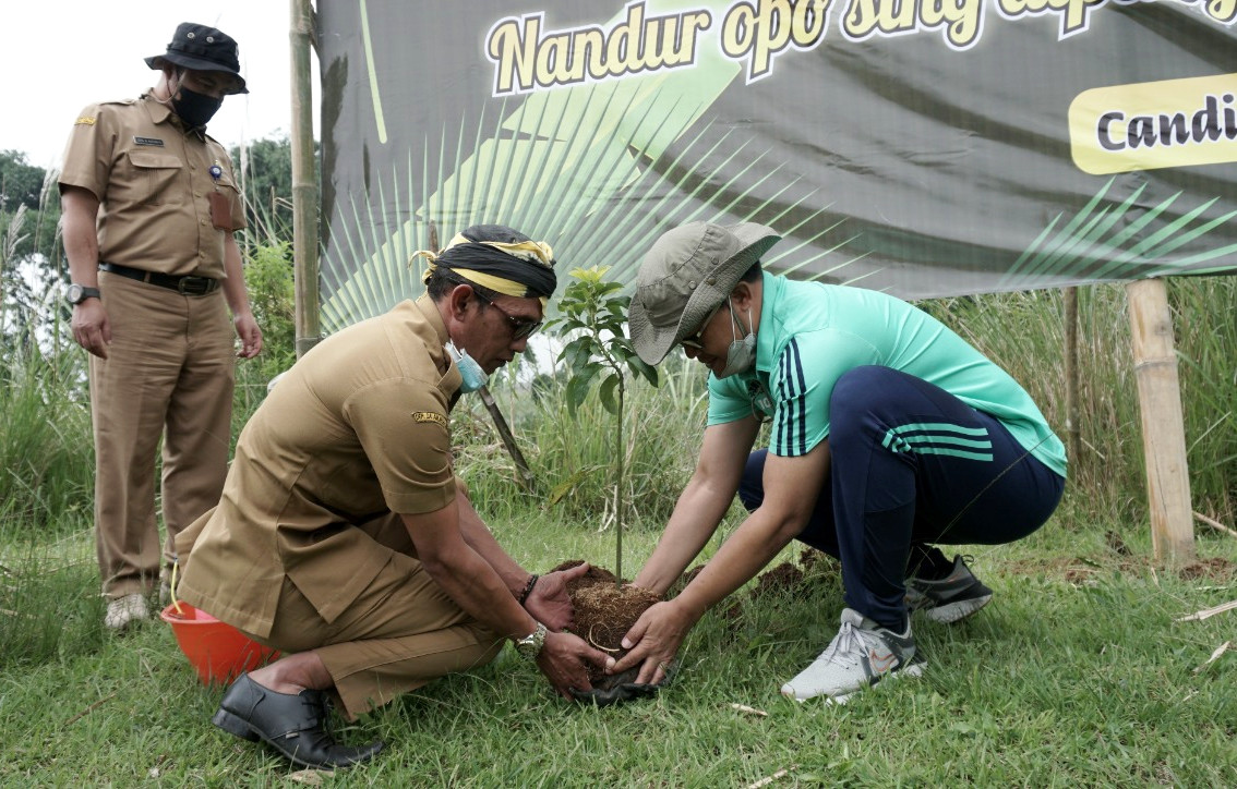 Bank Pohon Desa Candisari Upaya Konservasi Alam