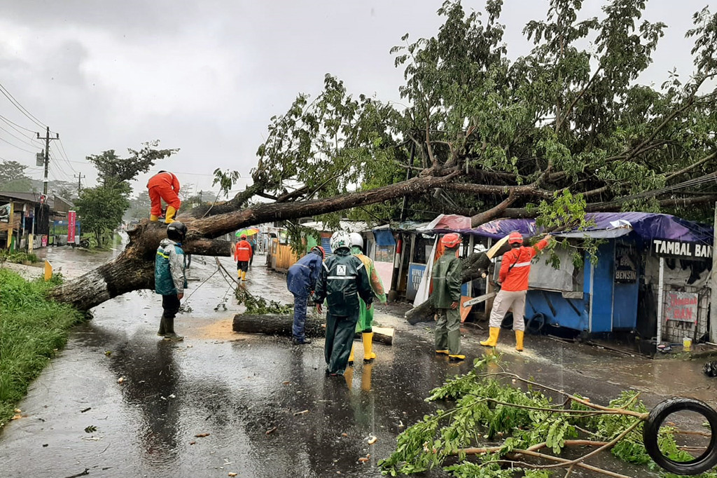 Pohon Tumbang Tutup Akses Jalan