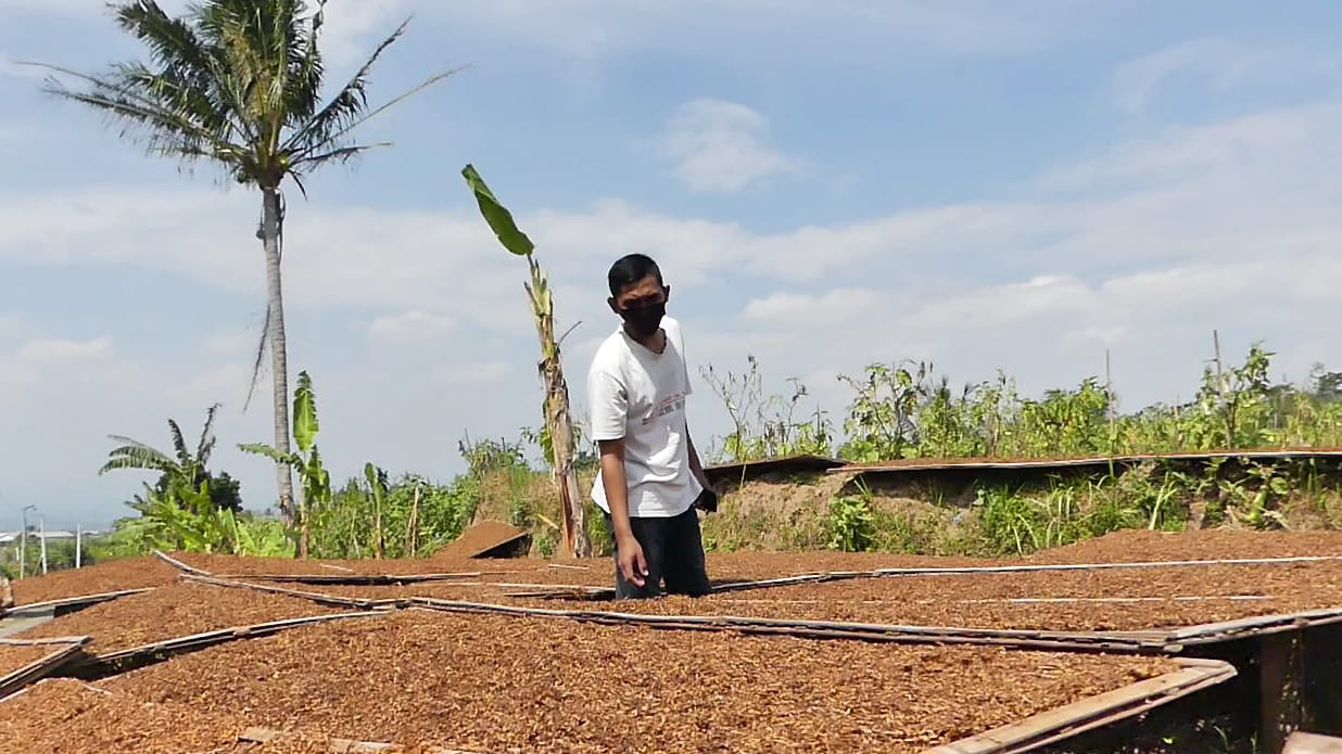 Petani Minta Pabrikan Naikkan Harga Beli Tembakau