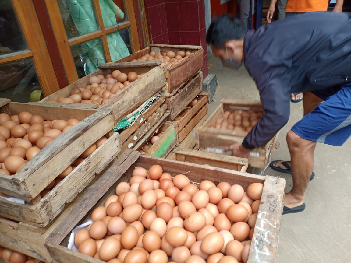 JAPFA Borong Telur dari Peternak Temanggung