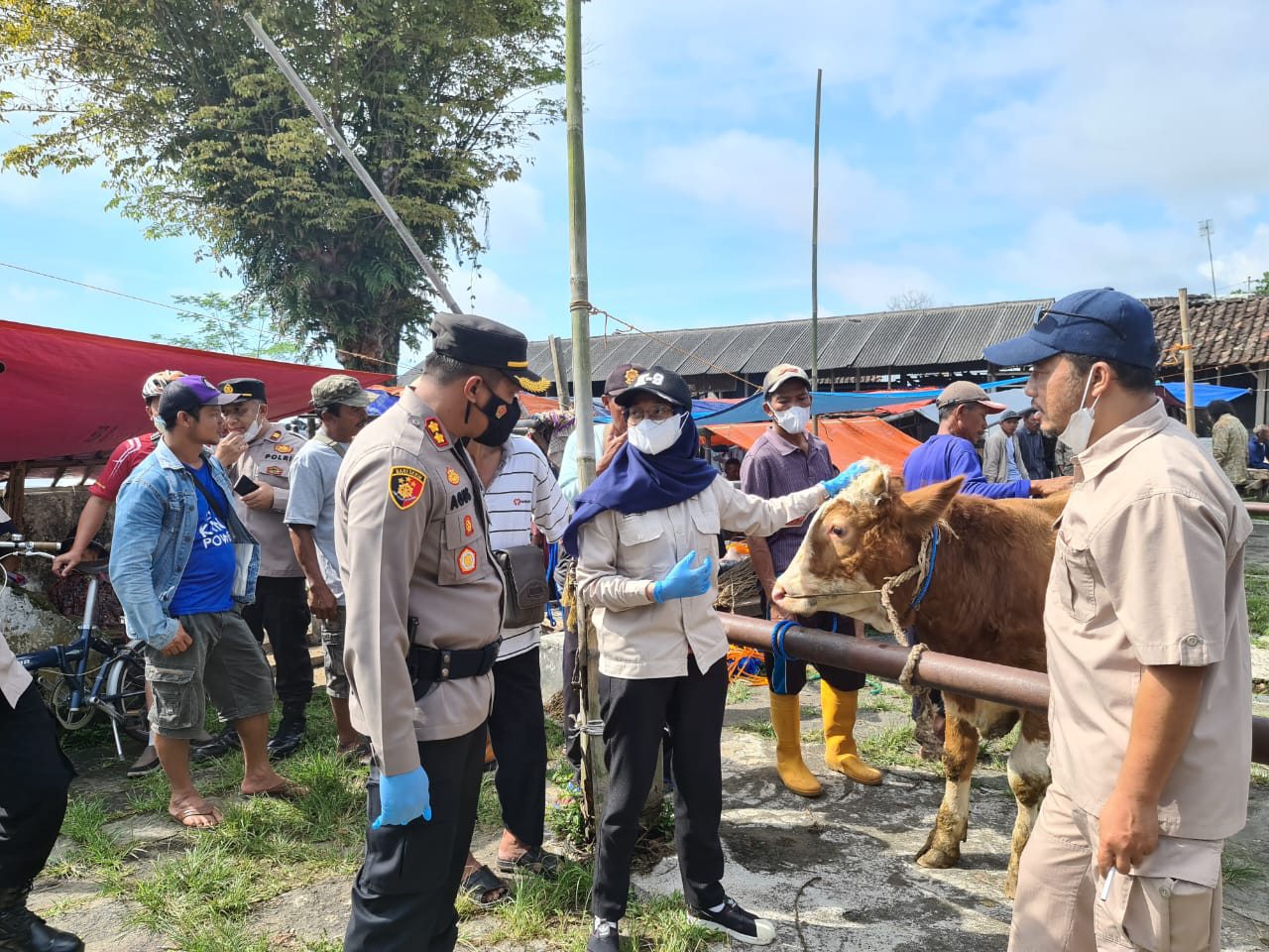 Pastikan Keamanan dan Tidak Ada Penularan PMK, Polres Pantau Pasar Hewan