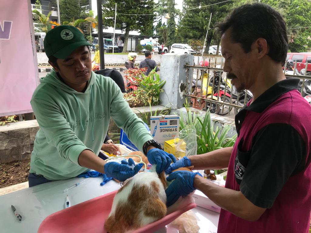 Cegah Penularan, Pemkab Gelar Vaksinasi Rabies Gratis