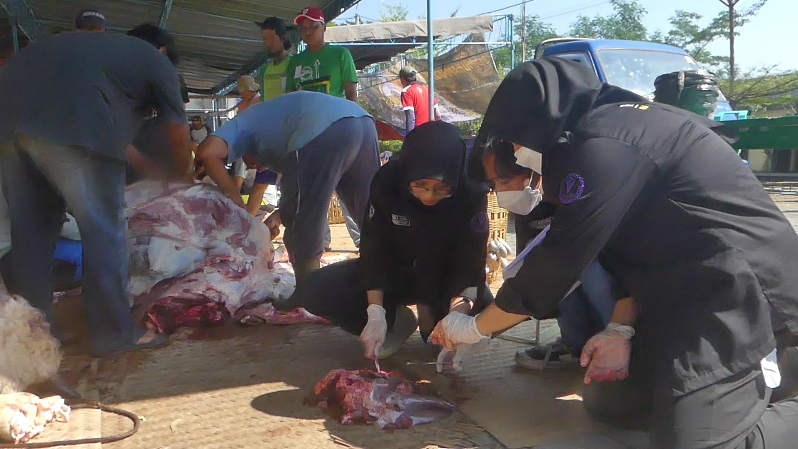 Pemkab Temanggung Terjunkan 200 Petugas Pemantau Penyembelihan Hewan Kurban