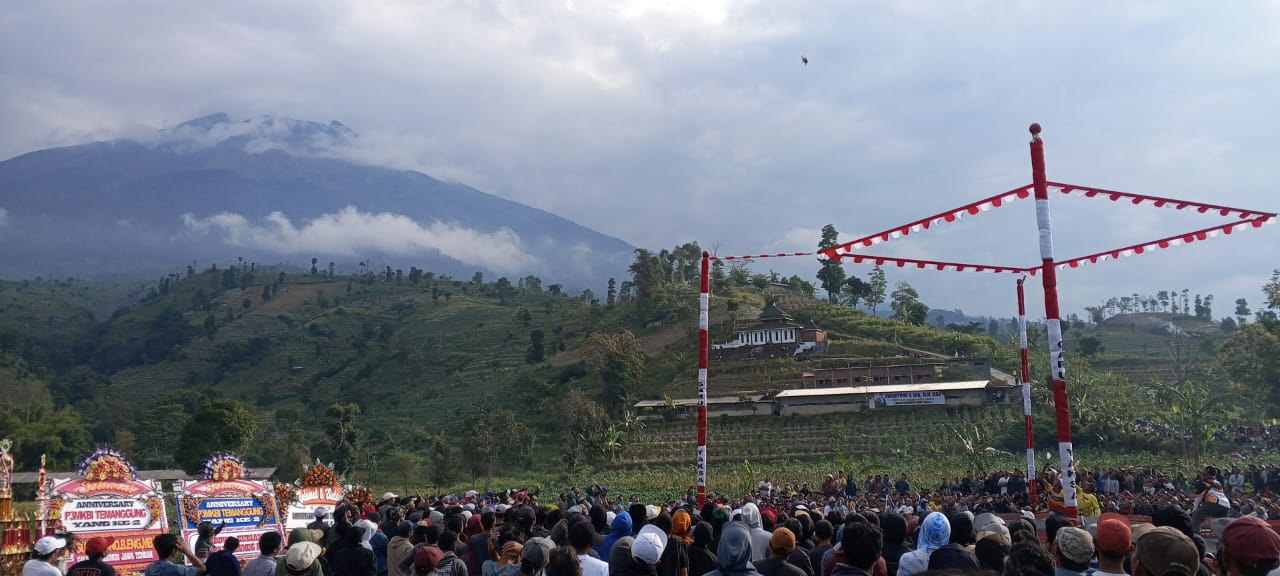 Lomba Merpati Kolong Tinggi Berhadiah Tiga Ratus Juta Diikuti Ribuan Peserta