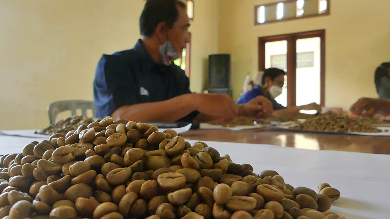 Harga Pasaran Tinggi, Petani Kopi Gemawang Raih Untung