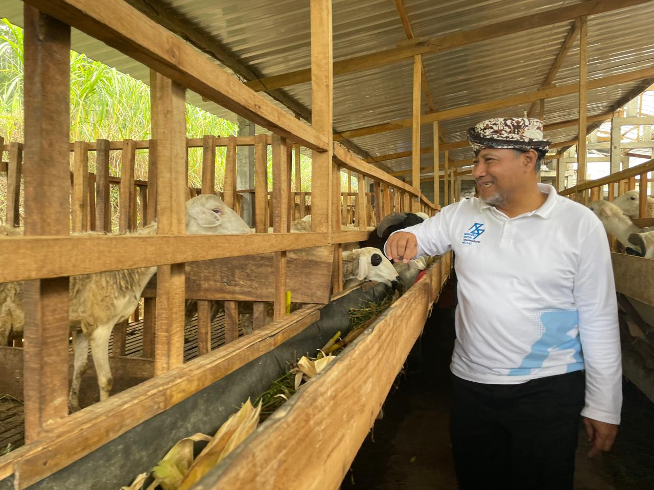 Bantuan Domba dari Baznas Tingkatkan Perekonomian Warga Kembangsari