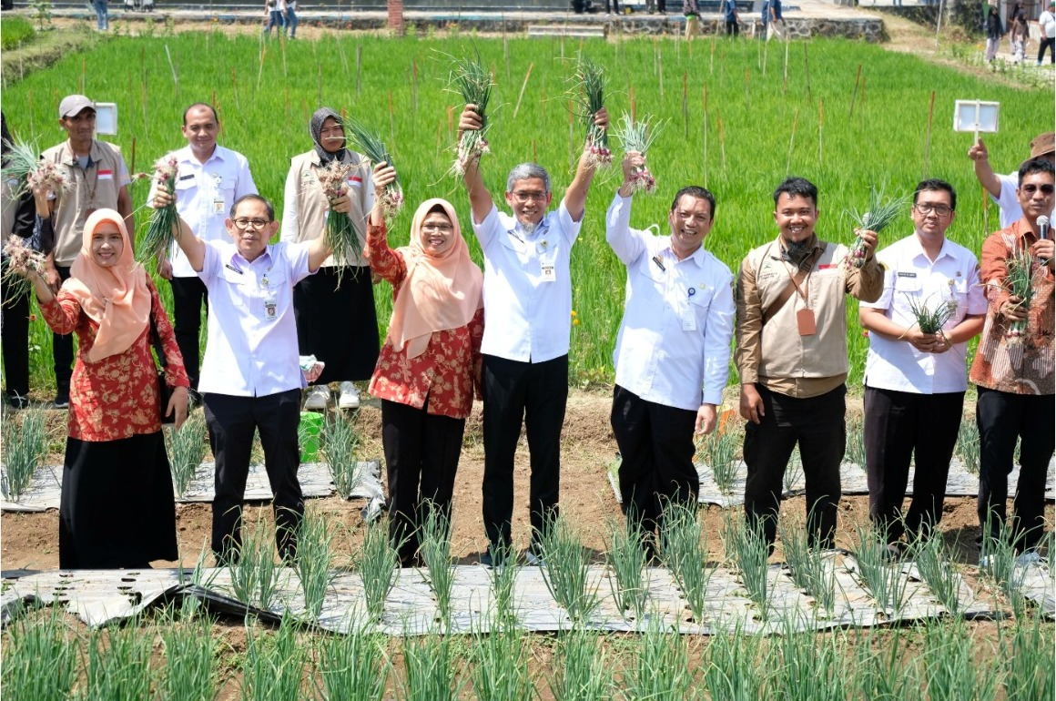 Jateng Agroinnovation Expo 2024, Pameran Inovasi dan Teknologi Pertanian