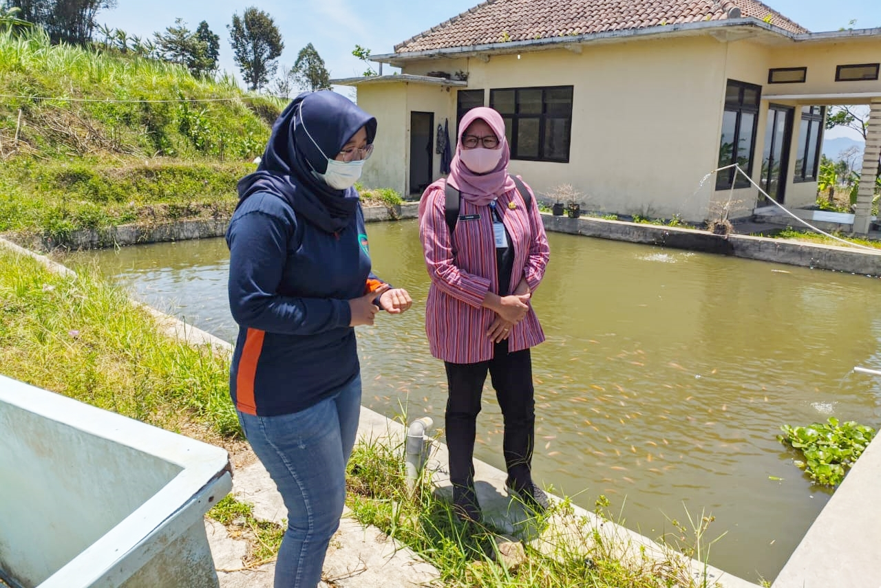 Pastikan Diseminasi ke Masyarakat, Dinkominfo Bersinergi dengan KIM Almond