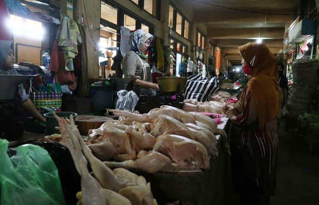 Harga Daging Ayam Turun Jelang Lebaran