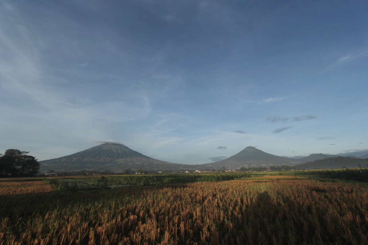 Atasi Lahan Kritis, Pemkab Temanggung Siapkan Program Sabuk Gunung