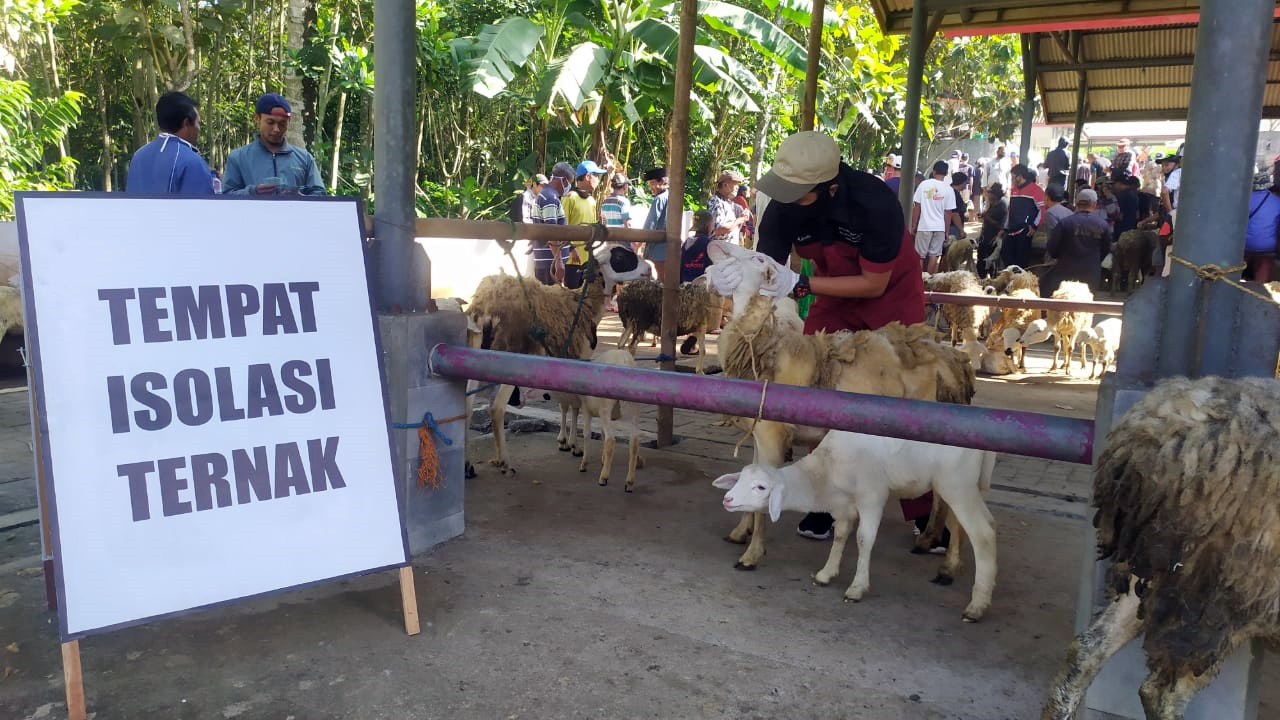 Pastikan Sehat, Masyarakat Bisa Cek Kesehatan Hewan di Puskeswan