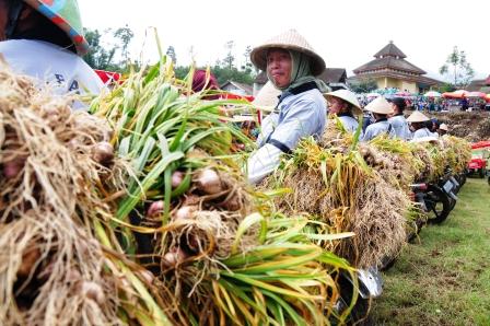 Kebutuhan Impor Bawang Putih Masih Tinggi 