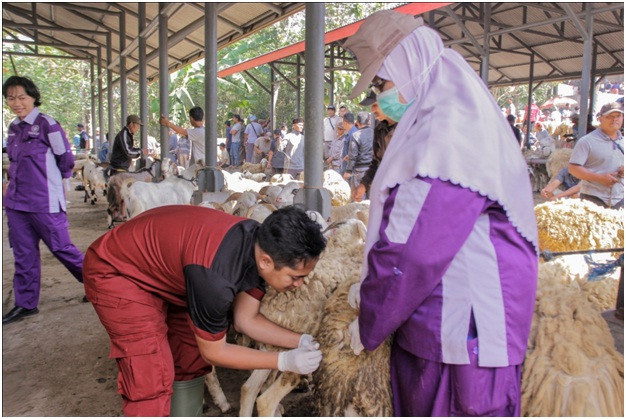 Dispernakan Temanggung Inspeksi Hewan Kurban