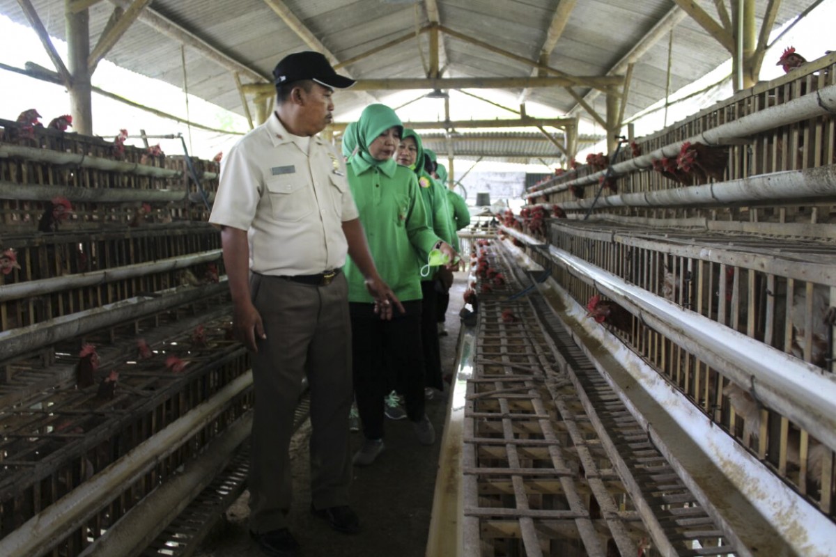 Persit Kartika Chandra Kirana Cabang XXVI Kodim 0706/Temanggung Adakan Kunjungan Kerja di Peternakan