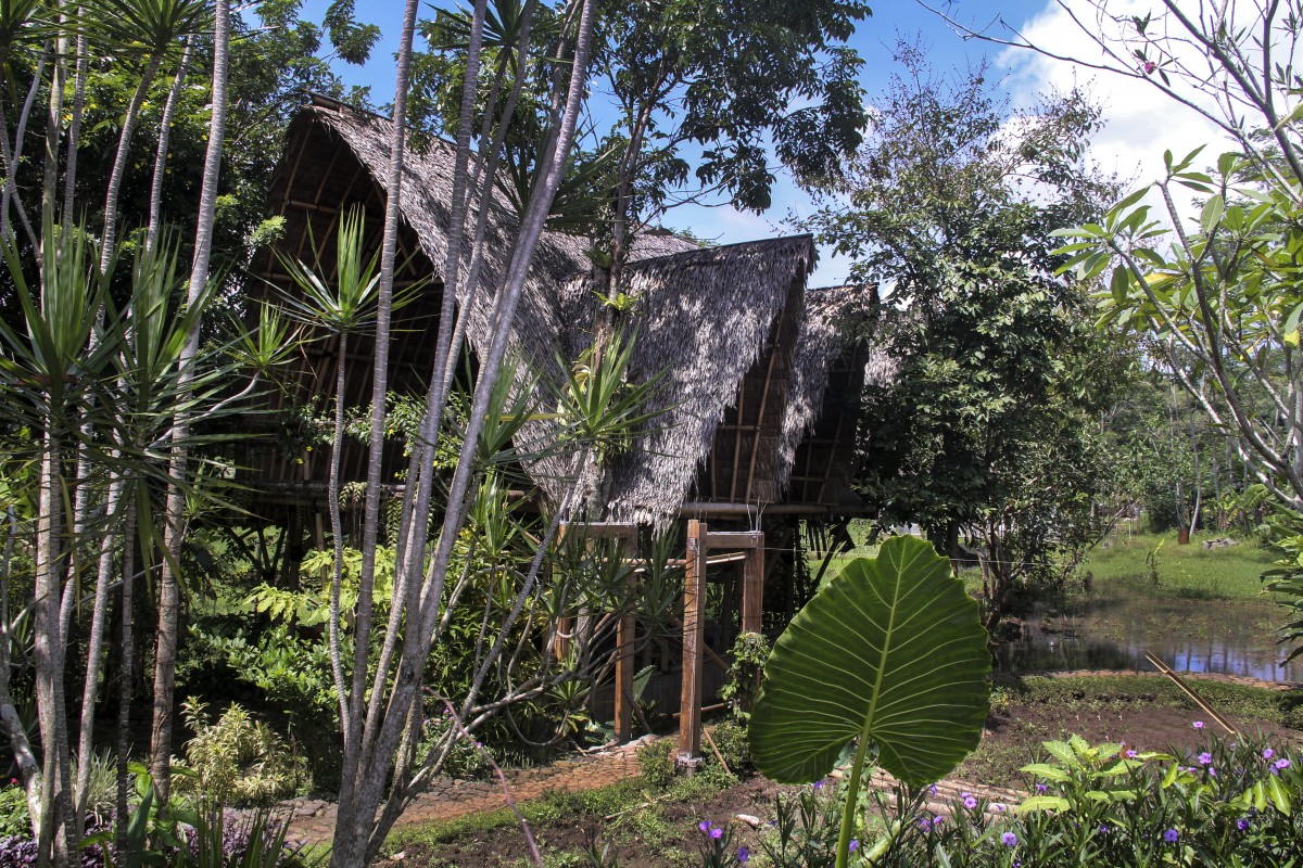 Omah Yudhi, Homestay di Temanggung yang Tawarkan Suasana Pedesaan