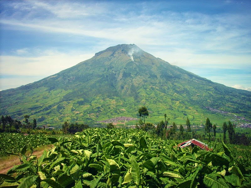 Daerah di Kaki Gunung Sumbing Butuh 2 Ribu Guru