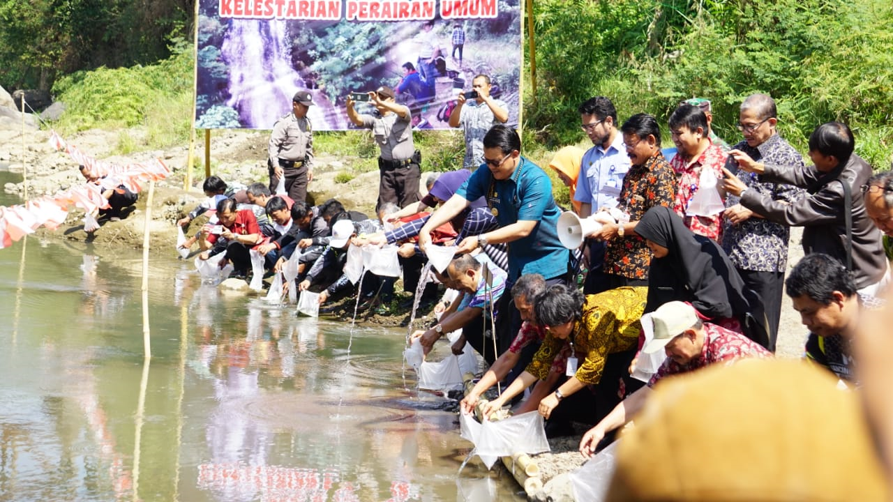 UPAYA PELESTARIAN IKAN UCENG  SEBAGAI IKAN ENDEMIK KABUPATEN TEMANGGUNG  OLEH UPTD BALAI BENIH IKAN 